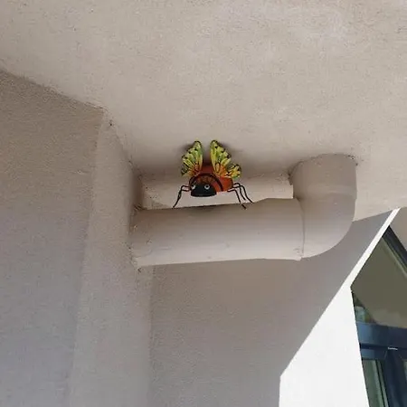 Appartamento Domin Apartment, Golem, Durres *