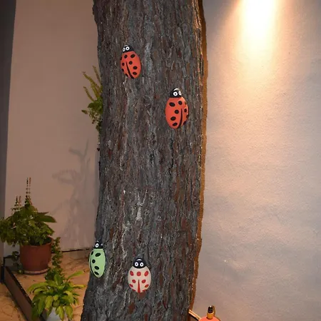 Domin Durres * Golem (Tirana)