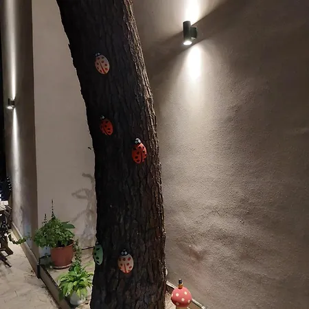 Domin Apartment, Golem, Durres Апартаменты Голем